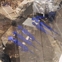 фото из отзыва ID 1321211