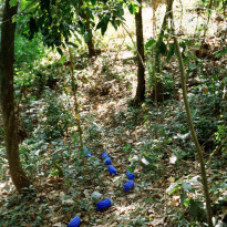 фото из отзыва ID 1321211