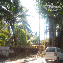 фото из отзыва ID 1325294