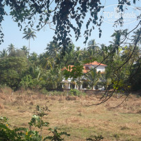 фото из отзыва ID 1325294