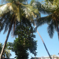 фото из отзыва ID 1325294