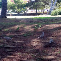 фото из отзыва ID 1325557