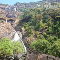 фото из отзыва ID 1326802