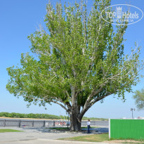 фото из отзыва ID 1329826