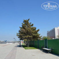 фото из отзыва ID 1329826