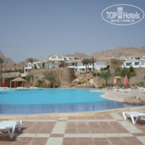 фото из отзыва ID 133374