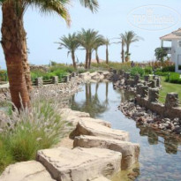 фото из отзыва ID 133374