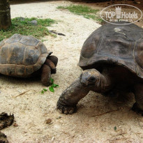 фото из отзыва ID 133767