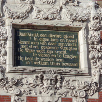 фото из отзыва ID 1330012