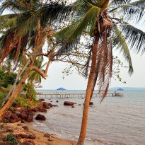 фото из отзыва ID 1330446