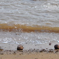 фото из отзыва ID 1330446