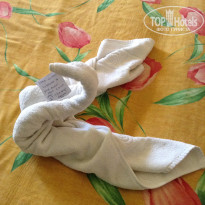 фото из отзыва ID 1330620