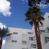 фото из отзыва ID 1330650