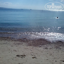 фото из отзыва ID 1330650