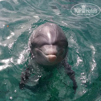 фото из отзыва ID 1330650