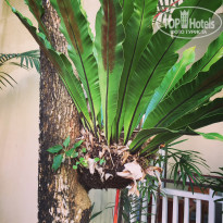 фото из отзыва ID 1330703