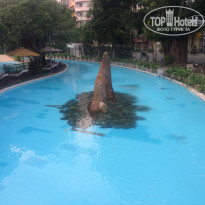 фото из отзыва ID 1330744