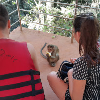 фото из отзыва ID 1330767