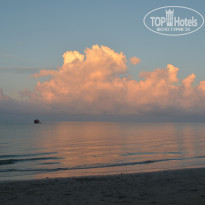 фото из отзыва ID 1331041