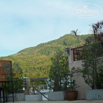 фото из отзыва ID 1331048