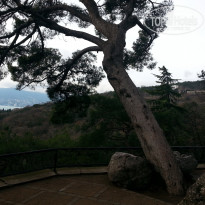 фото из отзыва ID 1331066