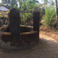 фото из отзыва ID 1331069