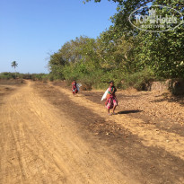 фото из отзыва ID 1331069