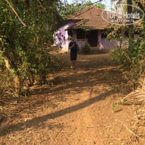 фото из отзыва ID 1331069