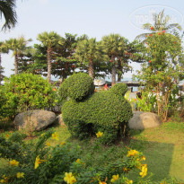 фото из отзыва ID 1331077