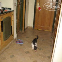 фото из отзыва ID 1331196