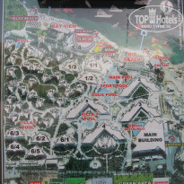 фото из отзыва ID 1331196