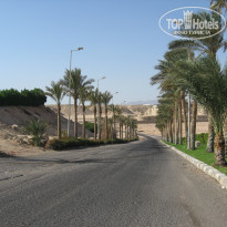 фото из отзыва ID 1331196