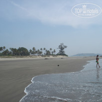 фото из отзыва ID 1331245