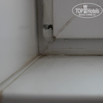 фото из отзыва ID 1331426