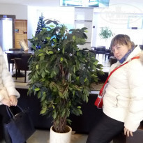 фото из отзыва ID 1331457