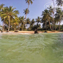 фото из отзыва ID 1331462