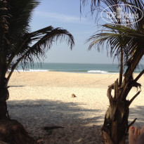 фото из отзыва ID 1331465