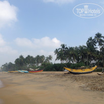 фото из отзыва ID 1331485