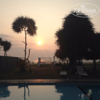 фото из отзыва ID 1331485