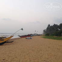 фото из отзыва ID 1331485