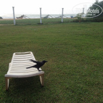 фото из отзыва ID 1331485