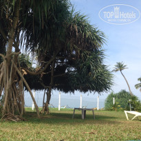 фото из отзыва ID 1331485