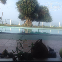 фото из отзыва ID 1331485