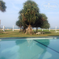 фото из отзыва ID 1331485