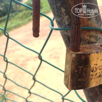 фото из отзыва ID 1331485