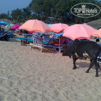 фото из отзыва ID 1331492