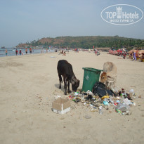 фото из отзыва ID 1331492