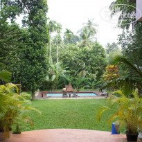 фото из отзыва ID 1331515