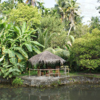 фото из отзыва ID 1331515