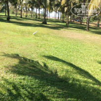 фото из отзыва ID 1331576